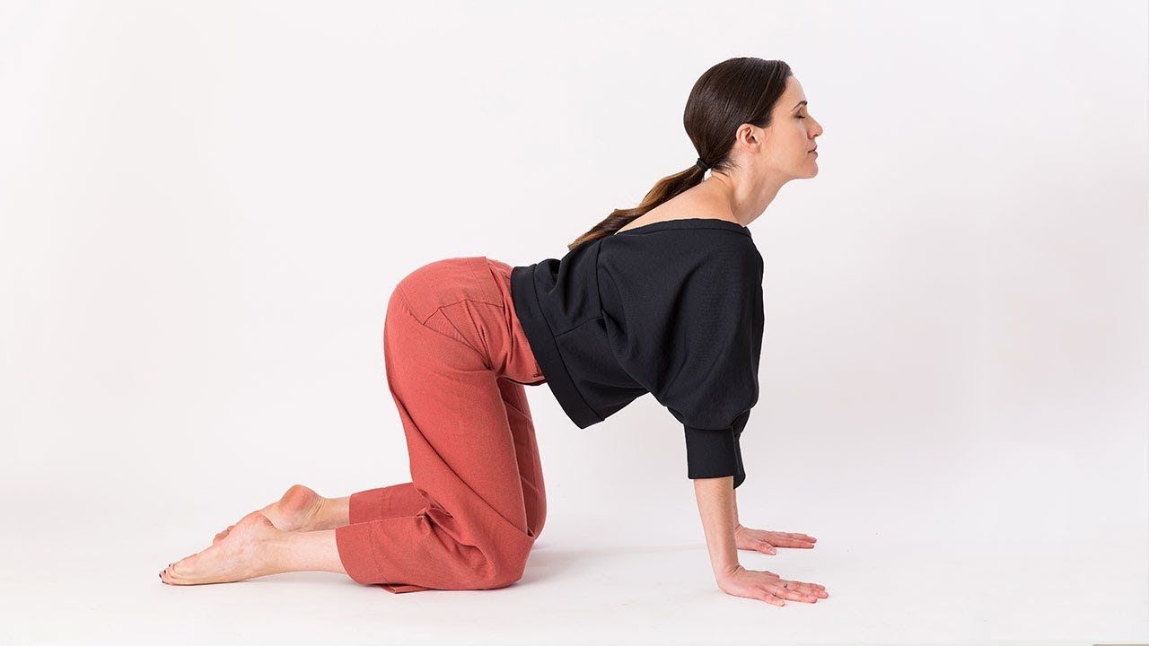 cat cow stretch: Your Complete Guide to This Spine-Friendly Movement