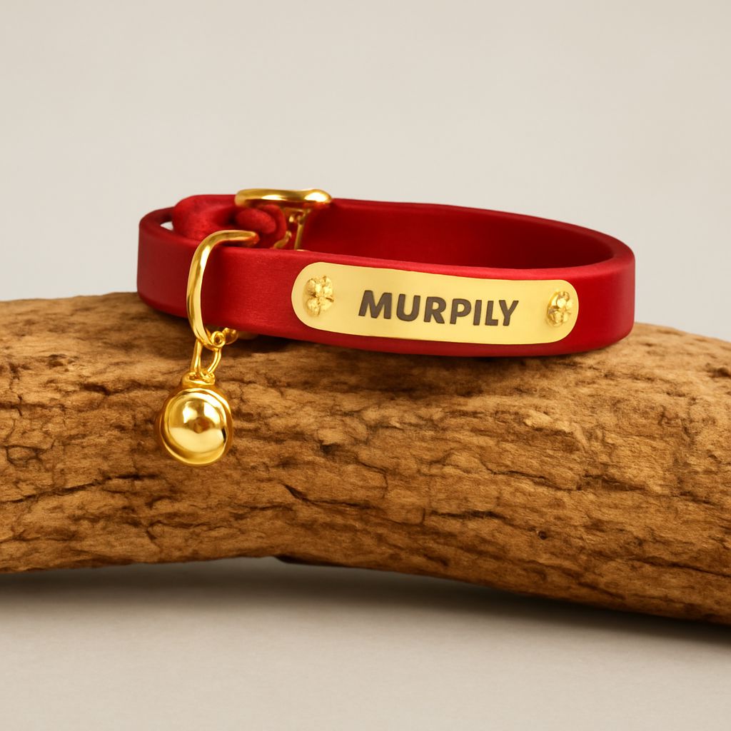 Custom Cat Collars: How to Find the Perfect Personalized Fit