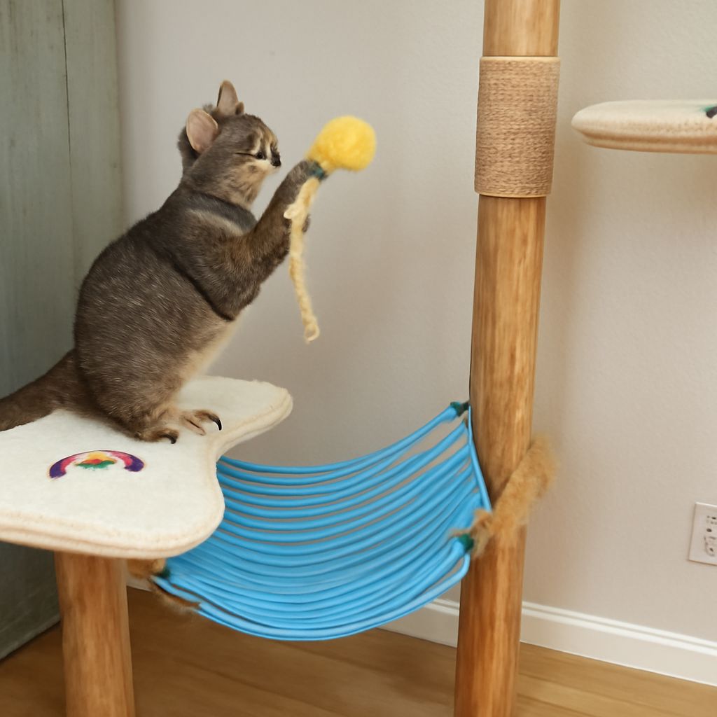 Wood Cat Tree Guide: Choosing a Wooden Cat Tower, Playhouse, or Multi-Level Cat Play House