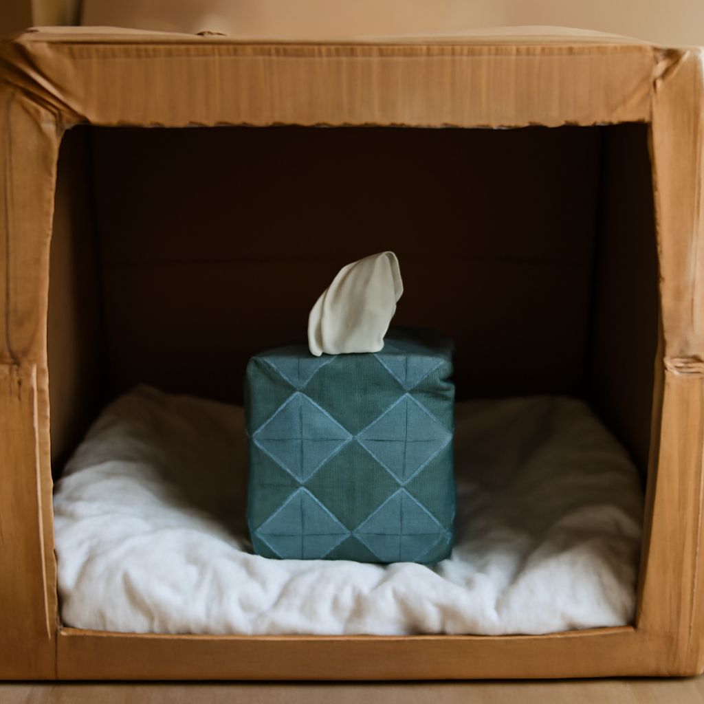 Cat Birthing Box: Setting Up the Perfect Space for Your Queen