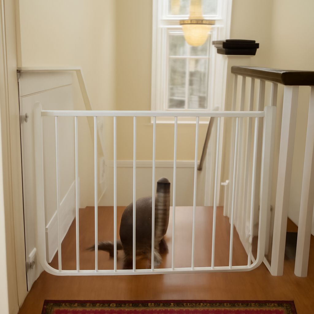 cat gate for stairs and pet gate for cats