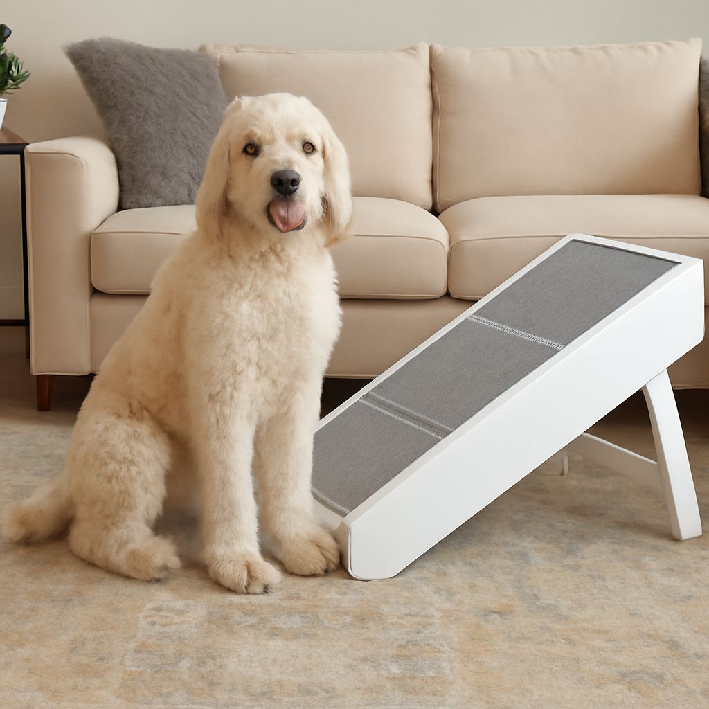 Microchip Cat Door: The Ultimate Guide to Your Cat’s Freedom