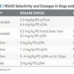 Cat receiving pain meds for relief