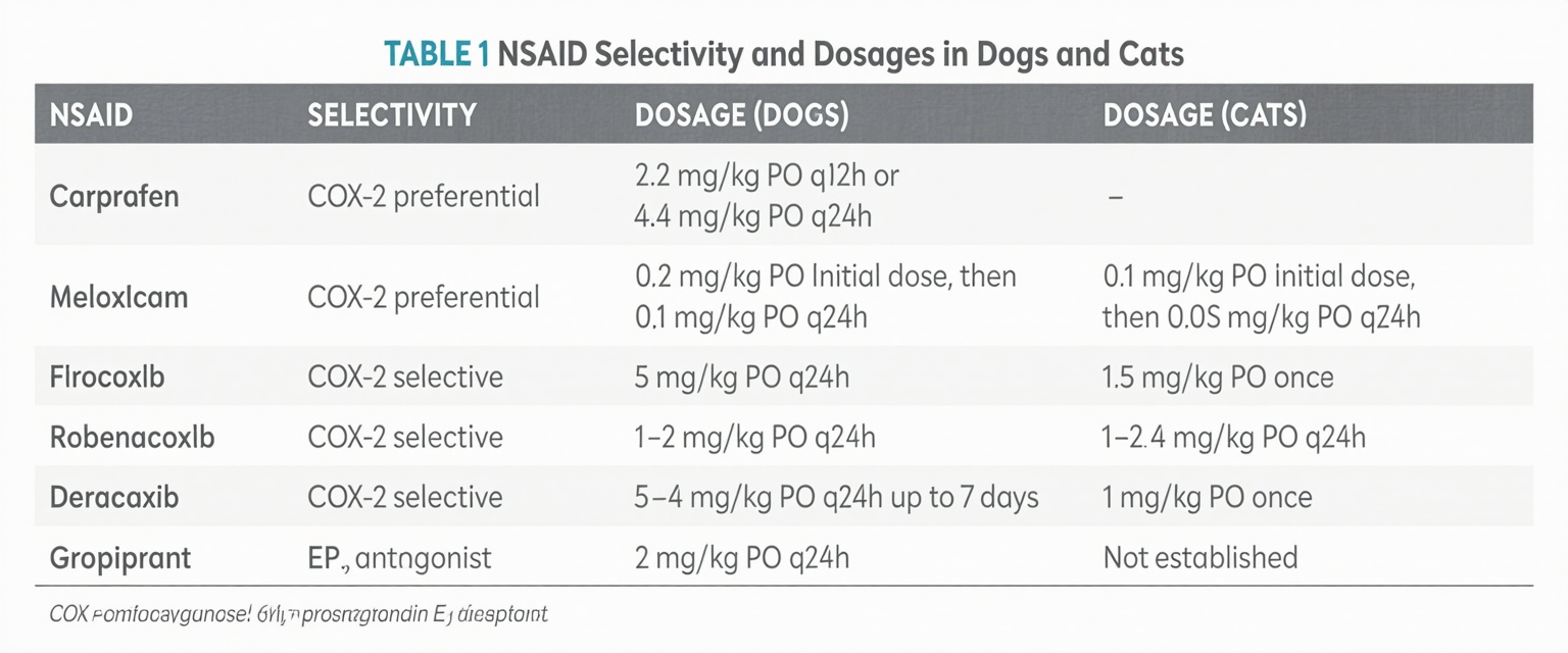 Pain Meds for Cats: A Comprehensive Guide