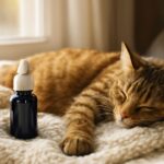 what can i give my cat for pain, otc pain meds for cats