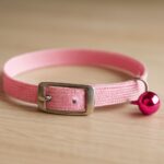 Cat shock collar and pink cat collar for travel
