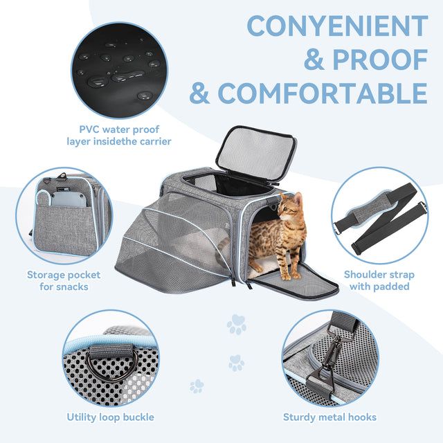 cat crate and laser cat ready for travel