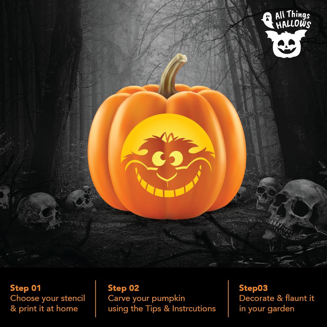 Cheshire Cat Jack O Lantern: A Fun Twist on Halloween Decor