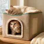 Cat house indoor and cat home setup