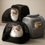 Best cat carrier and extra large cat carrier for nervous cats