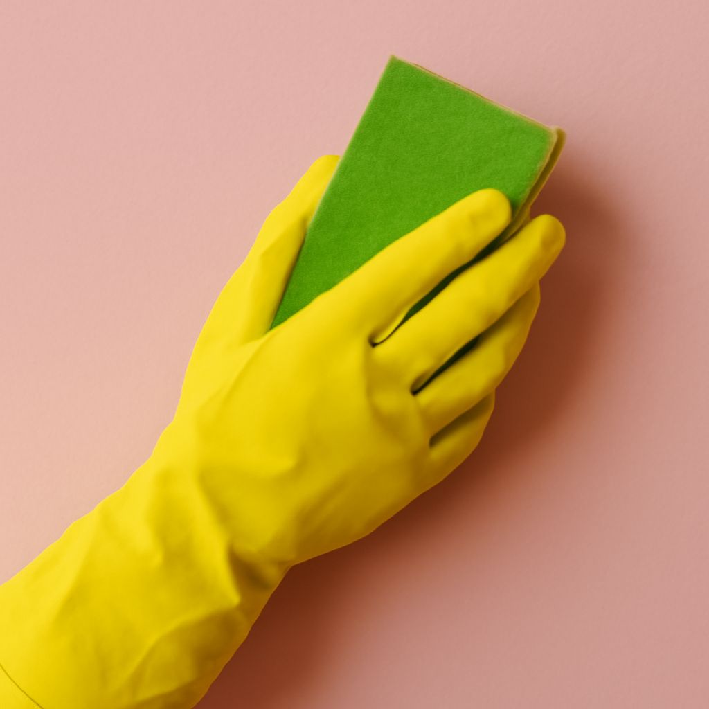 Is borax toxic to cats and does borax hurt cats?