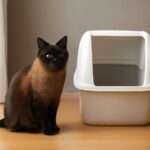 Cat Constipation Home Remedy and Natural Remedies for Cat Constipation