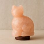 salt lamps and cats, are Himalayan salt lamps safe for cats