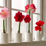 peonies, marigolds, and ferns in a garden