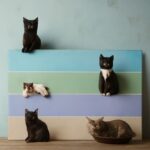 Understanding cats age and how many cat years they live