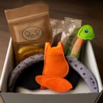cat subscription box and cat gift box