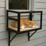 cat window box and window cat box