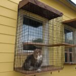 window cage for cats and cat window box outside