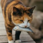 Can cats eat salmon? Is salmon good for cats?