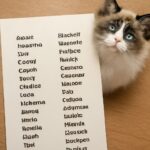 blue eyed cats and odd eyed cats