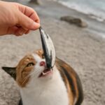 Can cats eat salmon skin and is fish good or bad for cats?