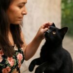 Scruffing a cat and understanding scruff cat behavior